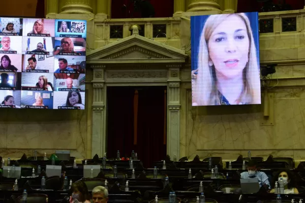 Los puntos más importantes del proyecto para la legalización del aborto que aprobó Diputados