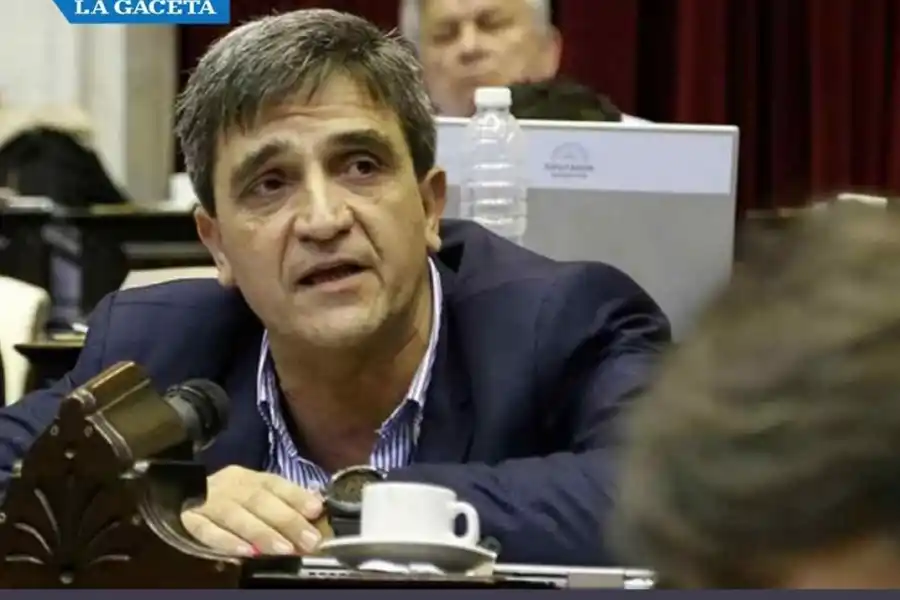 Así fundamentaron su voto los diputados nacionales por Tucumán