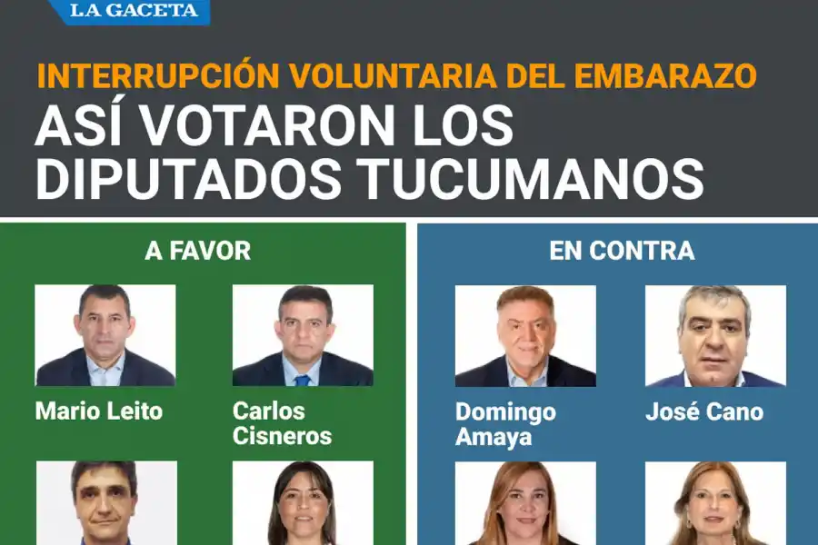 Así votaron los diputados tucumanos