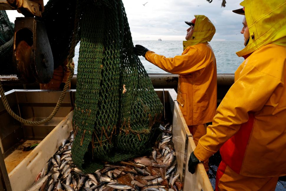 MAR DEL NORTE. Los derechos de pesca en las aguas que comparten Francia y Gran Bretaña fueron uno de los temas centrales en el debate sobre la salida británica de la Unión Europea.  