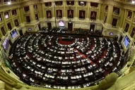 El Senado comienza hoy el tratamiento en comisión del proyecto de legalización del aborto