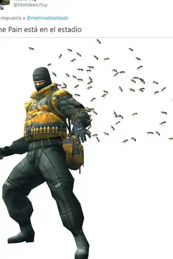 La nube de insectos en el Monumental desató una caratata de memes