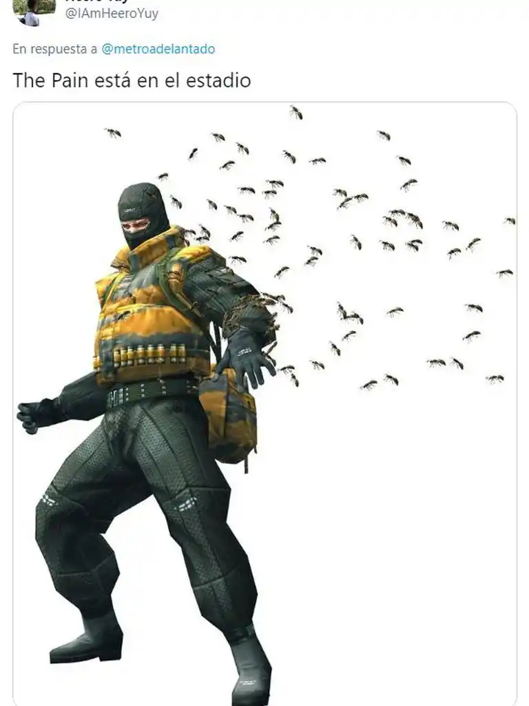 La nube de insectos en el Monumental desató una caratata de memes