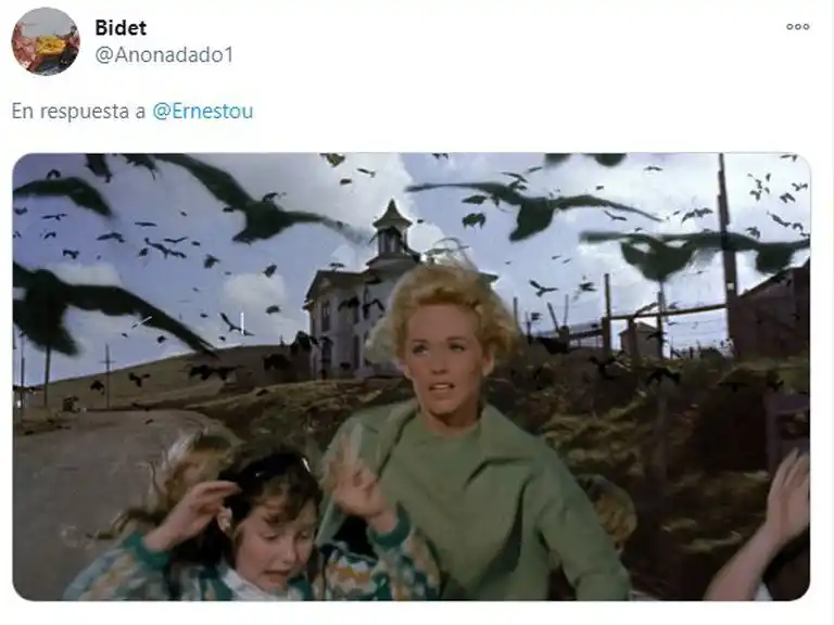 La nube de insectos en el Monumental desató una caratata de memes