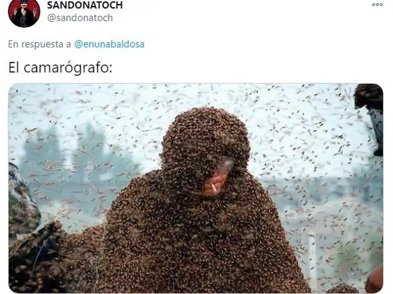 La nube de insectos en el Monumental desató una caratata de memes