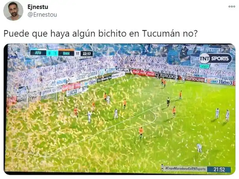 La nube de insectos en el Monumental desató una caratata de memes
