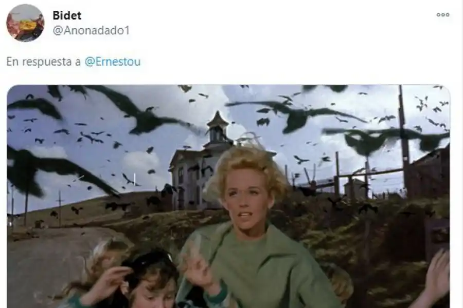 La nube de insectos en el Monumental desató una caratata de memes