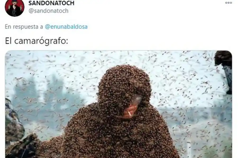 La nube de insectos en el Monumental desató una caratata de memes