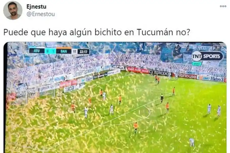 La nube de insectos en el Monumental desató una caratata de memes