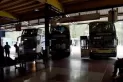 Micros de larga distancia para tours de compras: cuáles son los requisitos para viajar