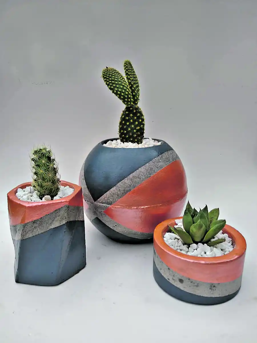 MÚLTIPLES FORMAS. Macetas originales con plantas,una buena opción.