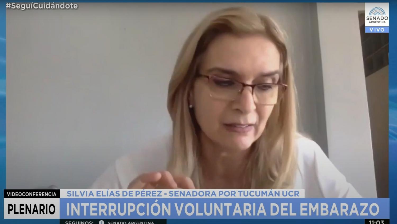SILVIA ELÍAS DE PÉREZ. Senadora por Tucumán, UCR-Juntos por el Cambio. Foto Captura de Video