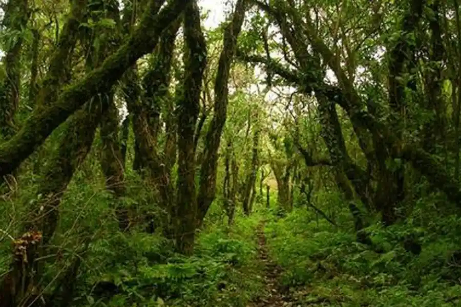 Los senderos en Tafí Viejo.