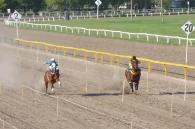 Turf: apasionante definición