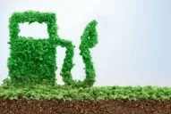 Reclaman aprobar la prórroga de la Ley de Biocombustibles