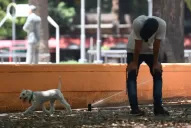 Mañanas frescas y tardes sofocantes, lo que nos espera hasta fin de año