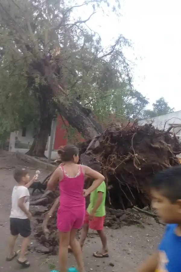GRAVES DAÑOS. El viento del 24 generó destrozos en viviendas. Foto: Prensa Colombres