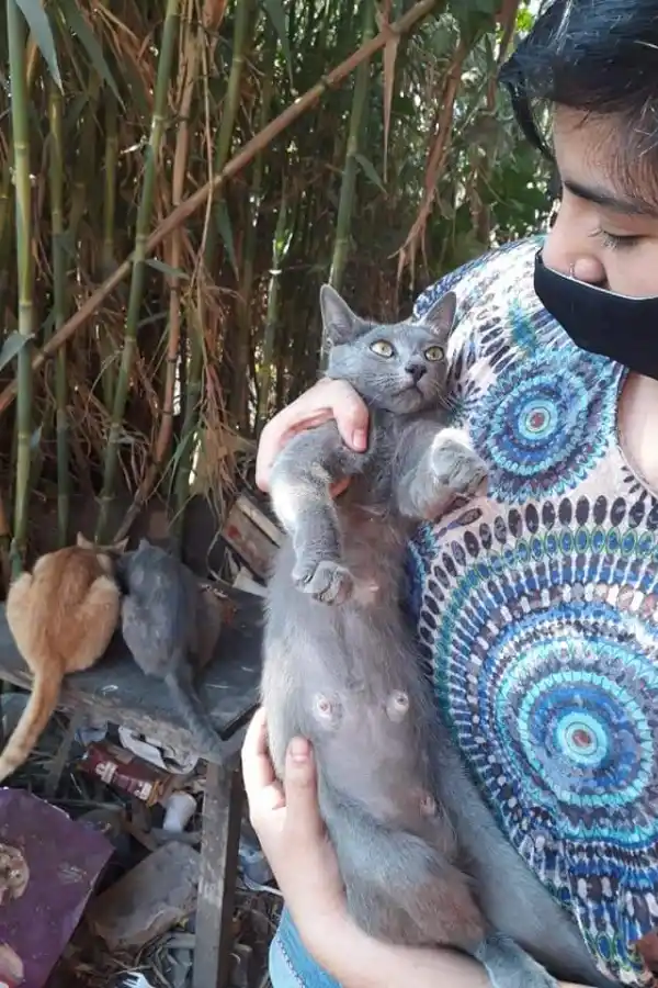 RESCATE. La tucumana dedica gran parte de su tiempo a asistir a animales en peligro.