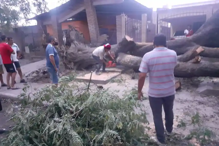 CON MOTOSIERRA. El personal de la comuna trabaja para retirar los árboles caídos. Foto: Prensa Colombres