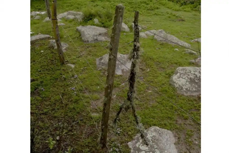 CUESTIÓN DE ALAMBRES. Dicen que hay corrimientos ilegales de lotes. 
