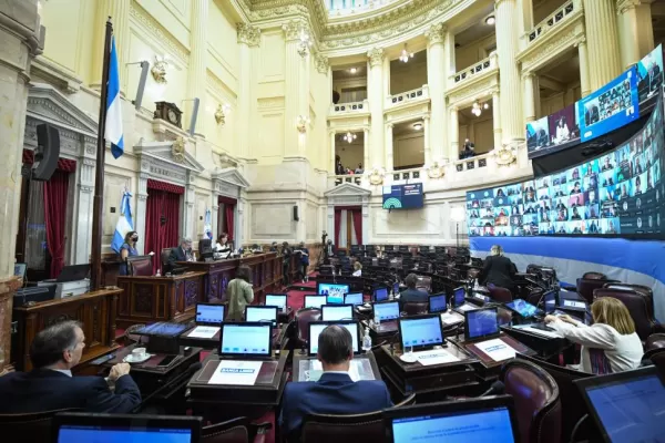 El Colegio de Abogados de la Capital considera inconstitucional el proyecto de aborto legal