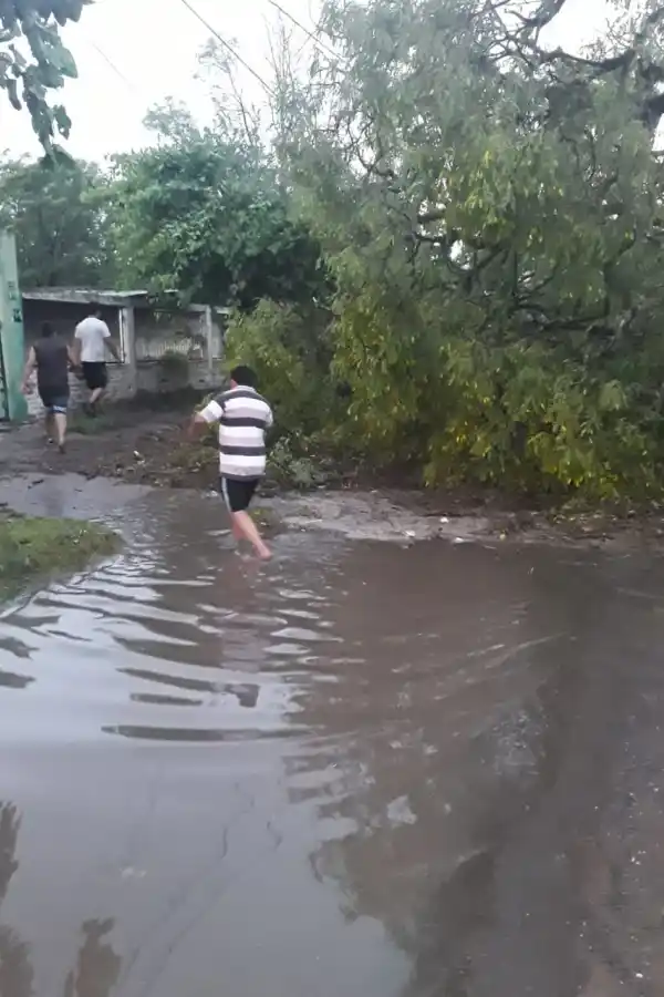AGUA Y BARRO. Varias casas quedaron aisladas. 