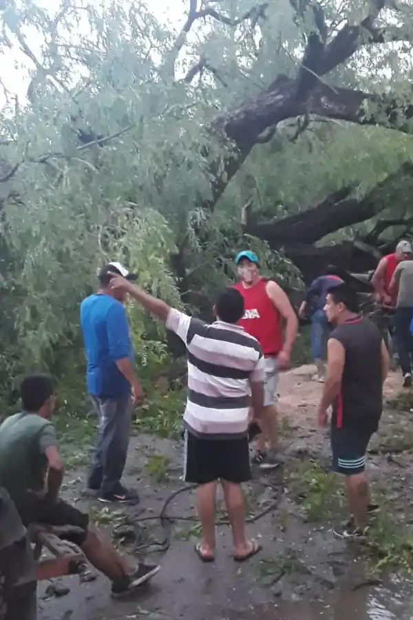SIN LUZ. Las ramas quebradas por el viento cortaron los cables.