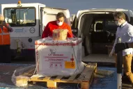 Se firmaron contratos para recibir 51 millones y medio de dosis, afirmaron desde Salud