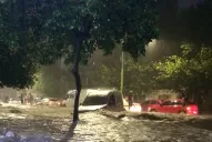 El bussismo insiste en que Alfaro debe hacerse cargo de las secuelas que dejó la tormenta