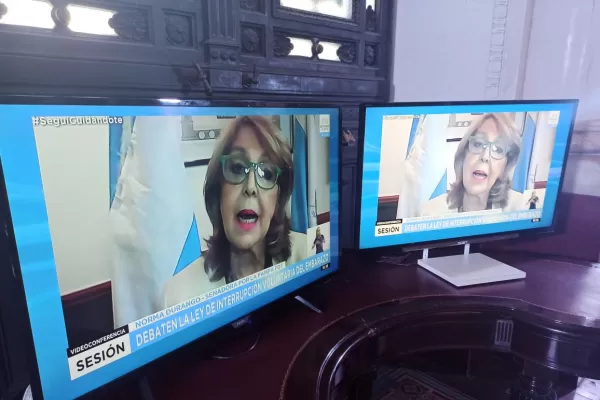 Aborto legal: esta ley habilita un derecho, argumentó la titular de la Banca de la Mujer