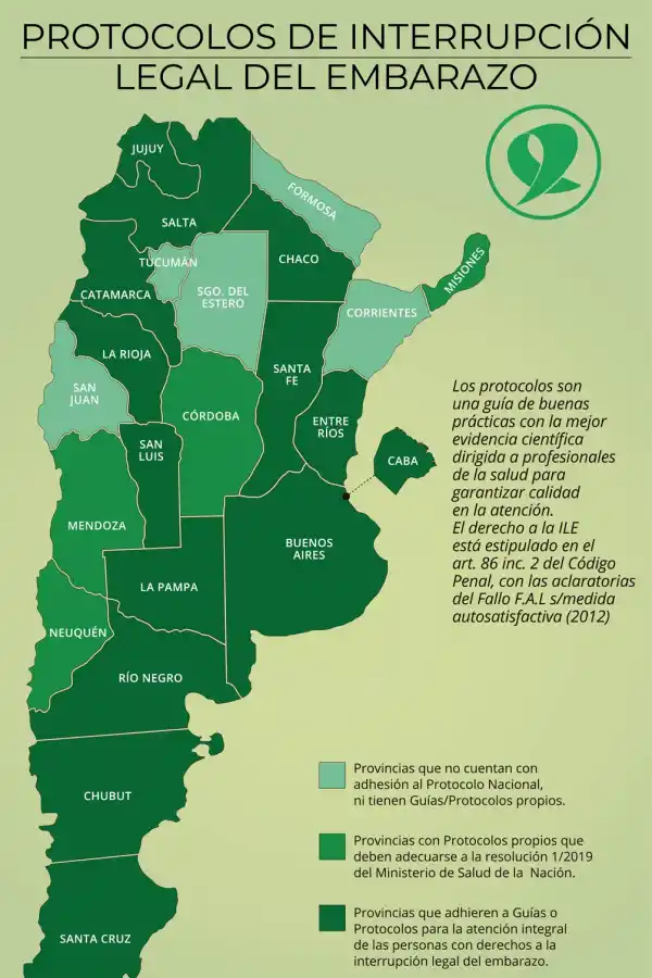 Tucumán, entre las cinco provincias que no fijaron protocolos para garantizar abortos no punibles