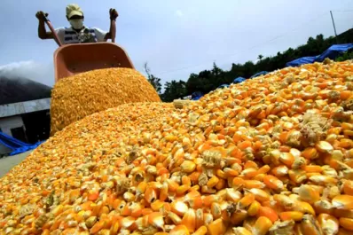 Sostienen que las exportaciones argentinas mostrarán una recuperación en 2021