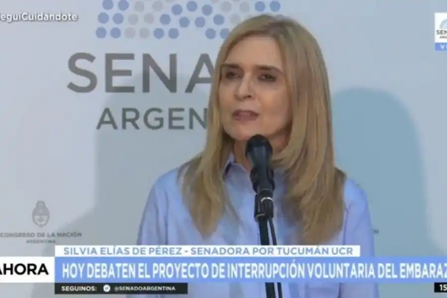 PRESENTE. Silvia Elías brindó una conferencia de prensa en el Senado. 