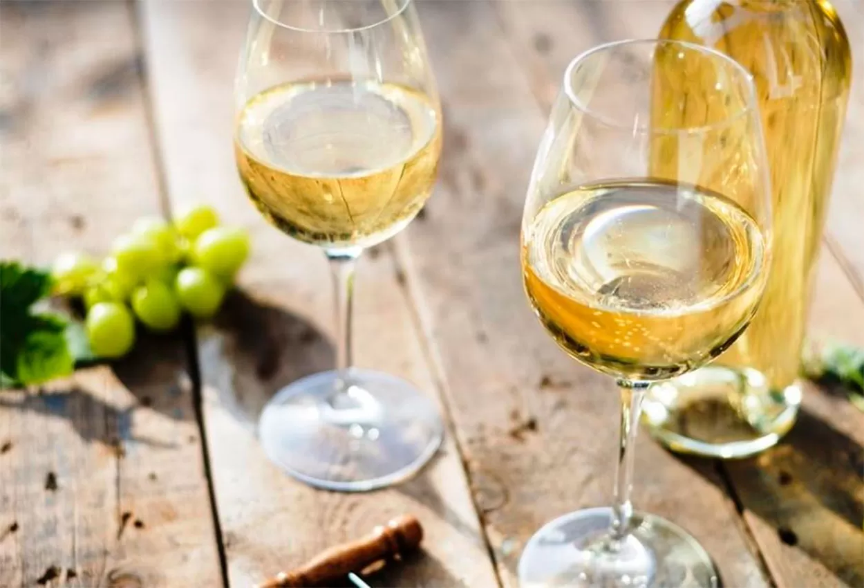 Rosados, blancos, naranjas y tintos ligeros: una guía de vinos para disfrutar los días cálidos