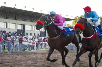 El turf es una fuente de trabajo en Tucumán