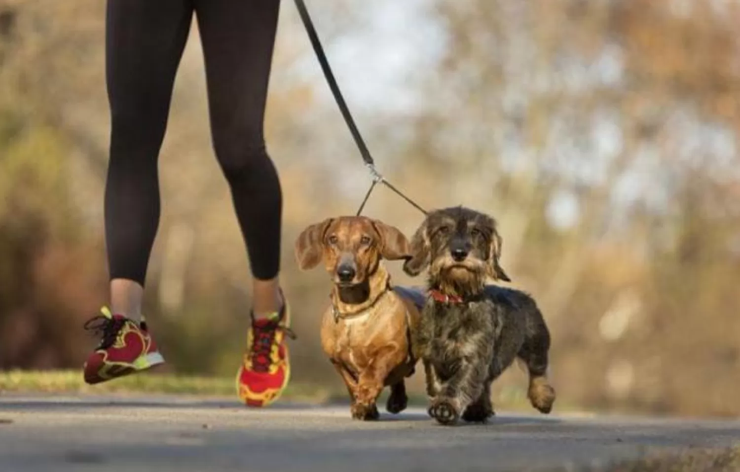 Cómo retomar (o empezar) hábitos saludables después de las Fiestas
