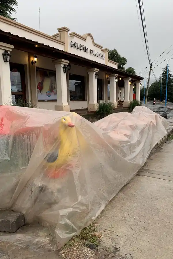 LA GACEA/FOTO DE JULIO MARENGO