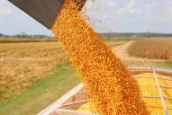 Agricultores analizan ir “más allá” del paro