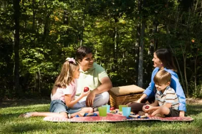 Para salir a pasear: ideas para el picnic