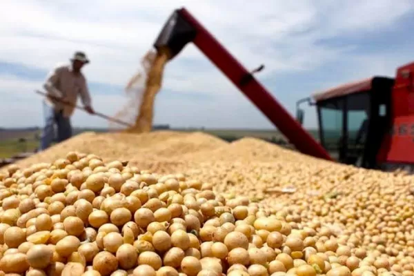 Debido al aumento del precio, los ingresos por exportaciones de soja podrían crecer un 37%