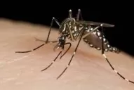 Según una encuesta privada, hay más preocupación por el dengue que por la covid-19