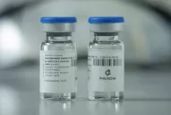 Lo que querés saber acerca del suero equino hiperinmune contra la covid-19