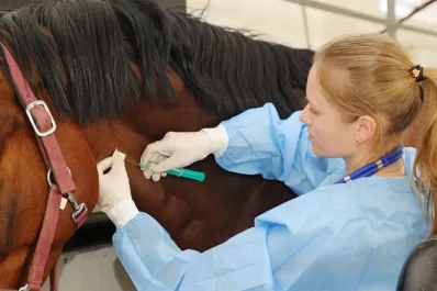 Crece la esperanza con el suero equino