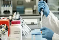 Así funciona y a quiénes beneficia el suero equino hiperinmune contra la covid-19