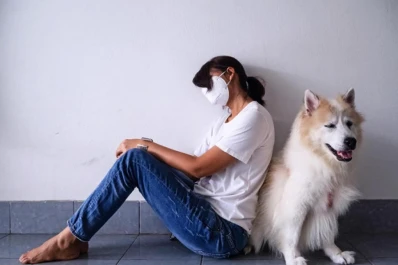Animales con covid-19: ¿pueden contagiar a los humanos?