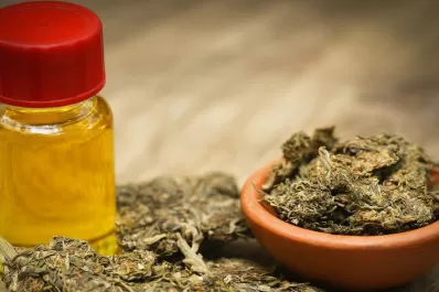 La ola verde se extiende a México que reglamentará el uso medicinal y la producción de cannabis