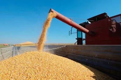 ¿Qué pasaría si se tratara de autos?