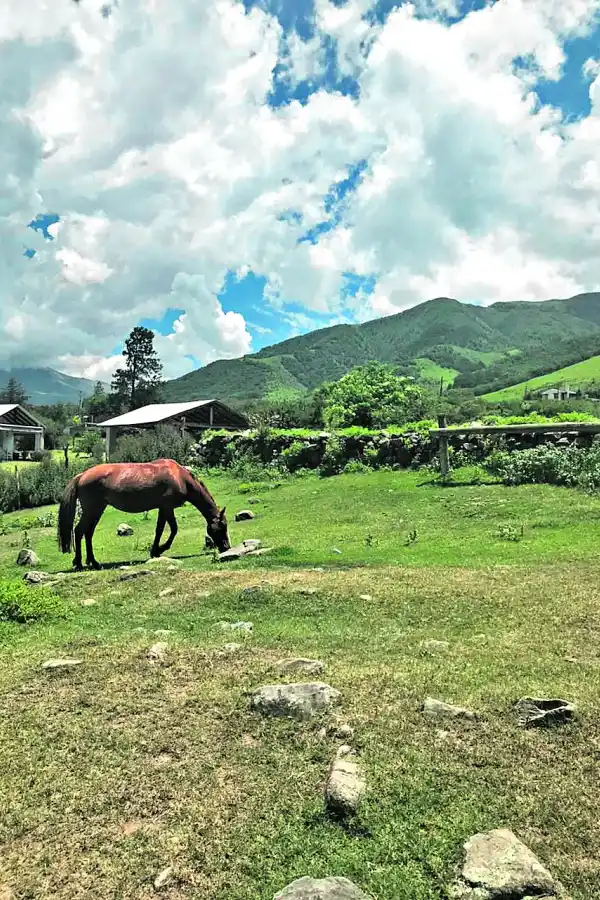 Cabalgar entre el cielo y las nubes en Tafí del Valle