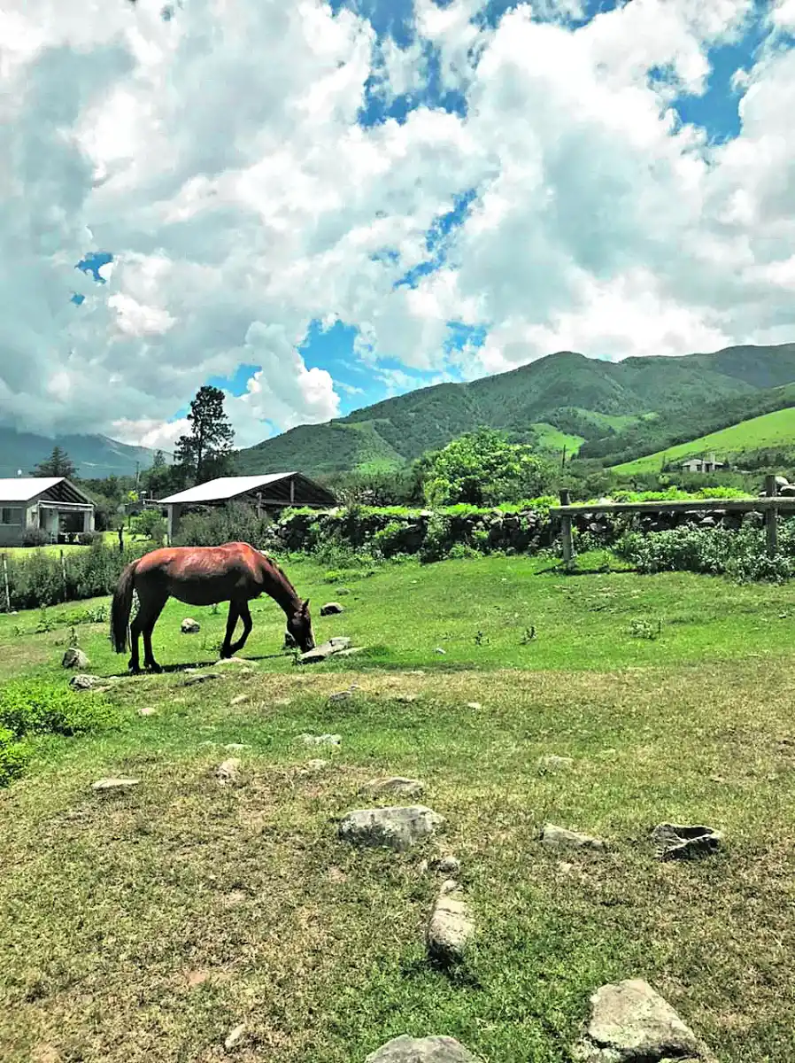 Cabalgar entre el cielo y las nubes en Tafí del Valle
