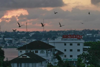 Nipah, otro virus que enciende las alarmas en Asia